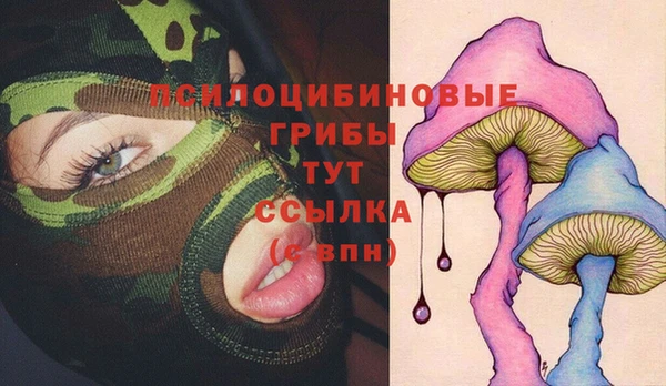 ГАЛЛЮЦИНОГЕННЫЕ ГРИБЫ Балабаново