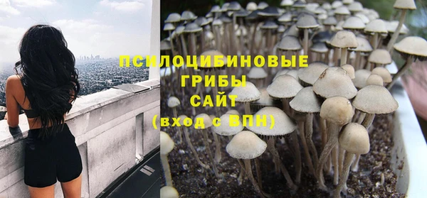 ГАЛЛЮЦИНОГЕННЫЕ ГРИБЫ Балабаново