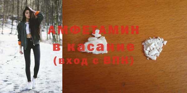 шишки Покачи