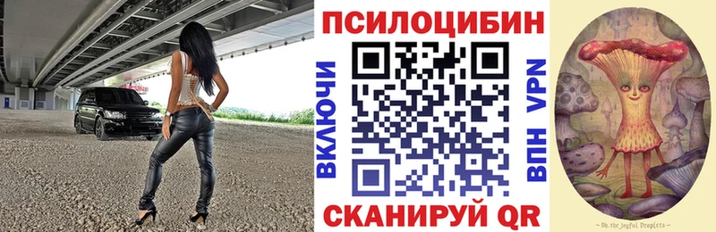 Галлюциногенные грибы Cubensis  это Telegram  Жердевка 
